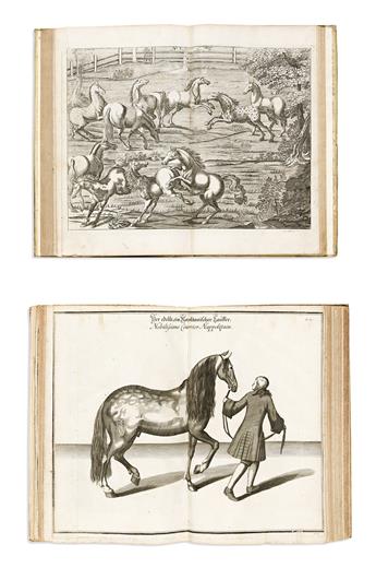 (EQUINE.) Two early illustrated works on horsemanship and breeding.